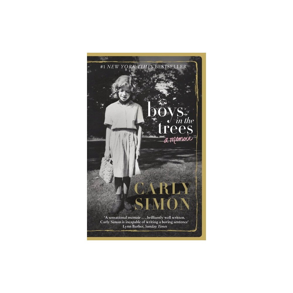 Little, Brown Book Group Boys in the Trees (häftad, eng)