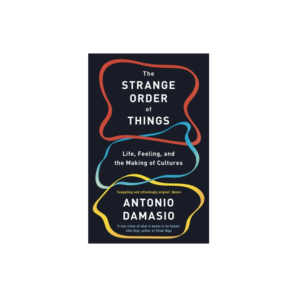 Little, Brown Book Group The Strange Order Of Things (häftad, eng)