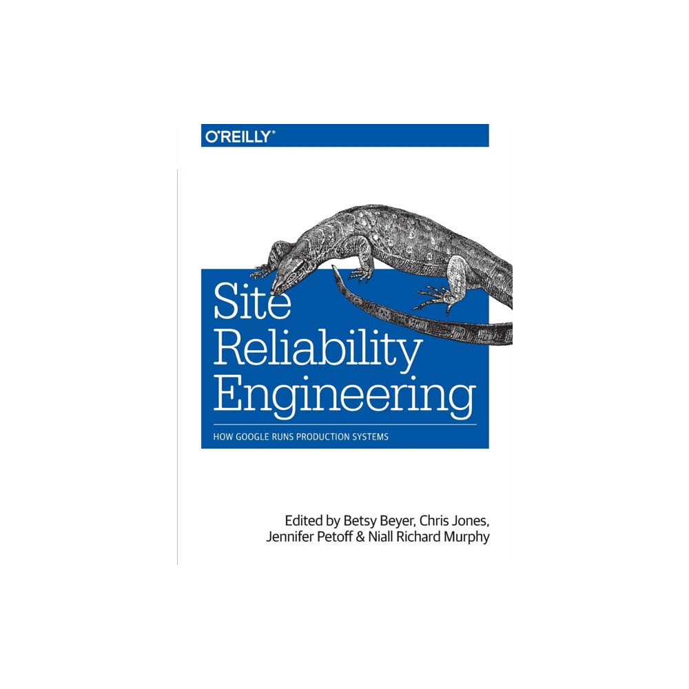 O'Reilly Media Site Reliability Engineering (häftad, eng)