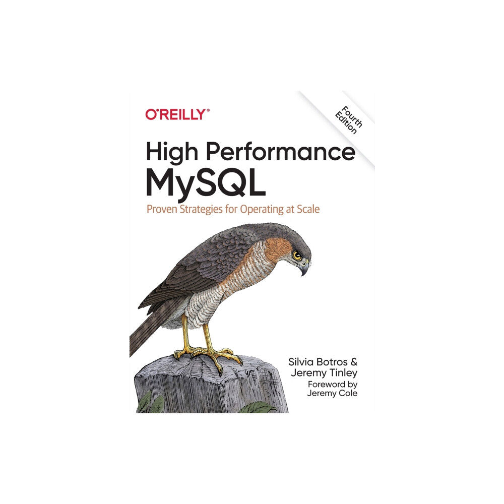 O'Reilly Media High Performance MySQL (häftad, eng)