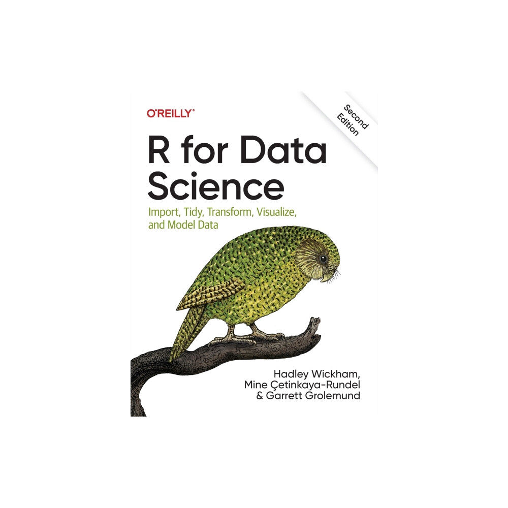 O'Reilly Media R for Data Science (häftad, eng)