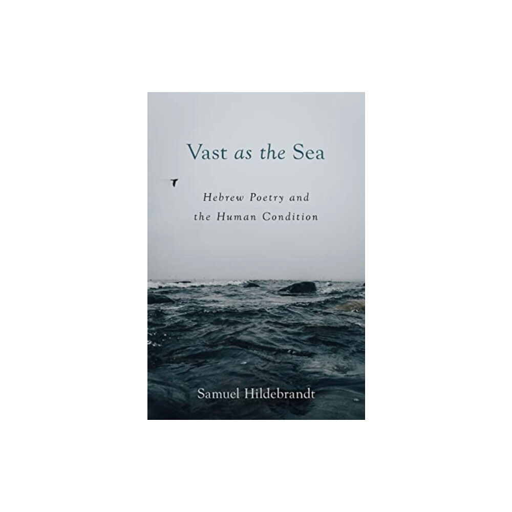 Augsburg Fortress Publishers Vast as the Sea (häftad, eng)