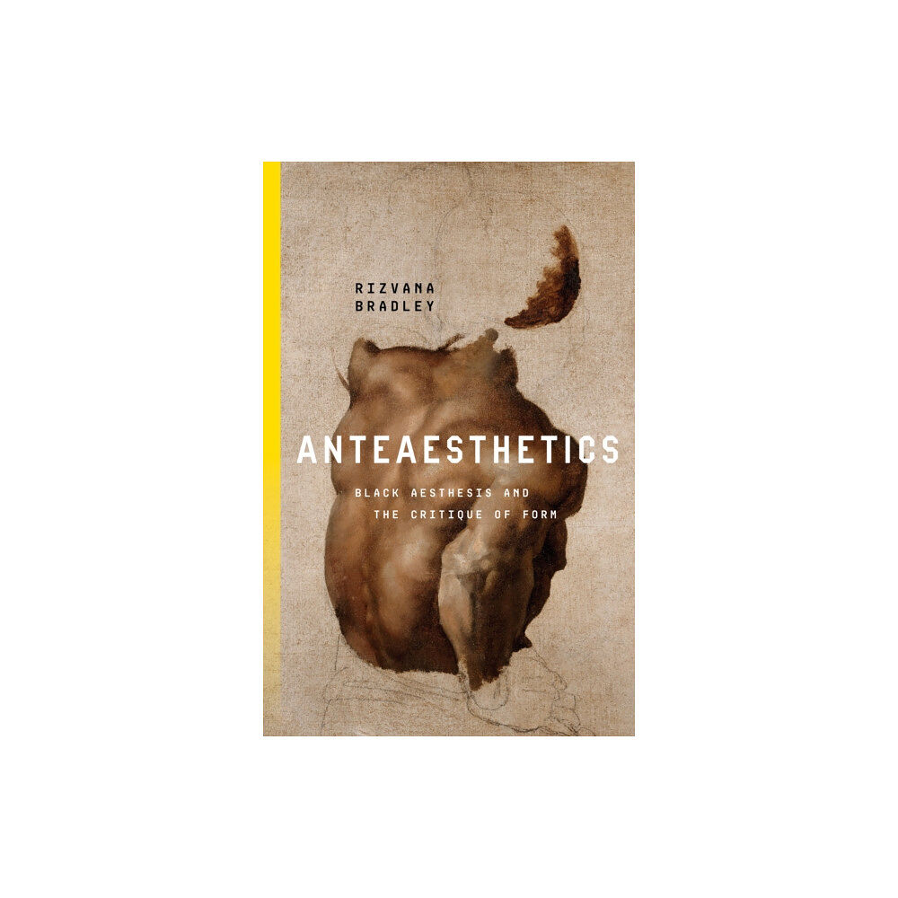 Stanford university press Anteaesthetics (häftad, eng)