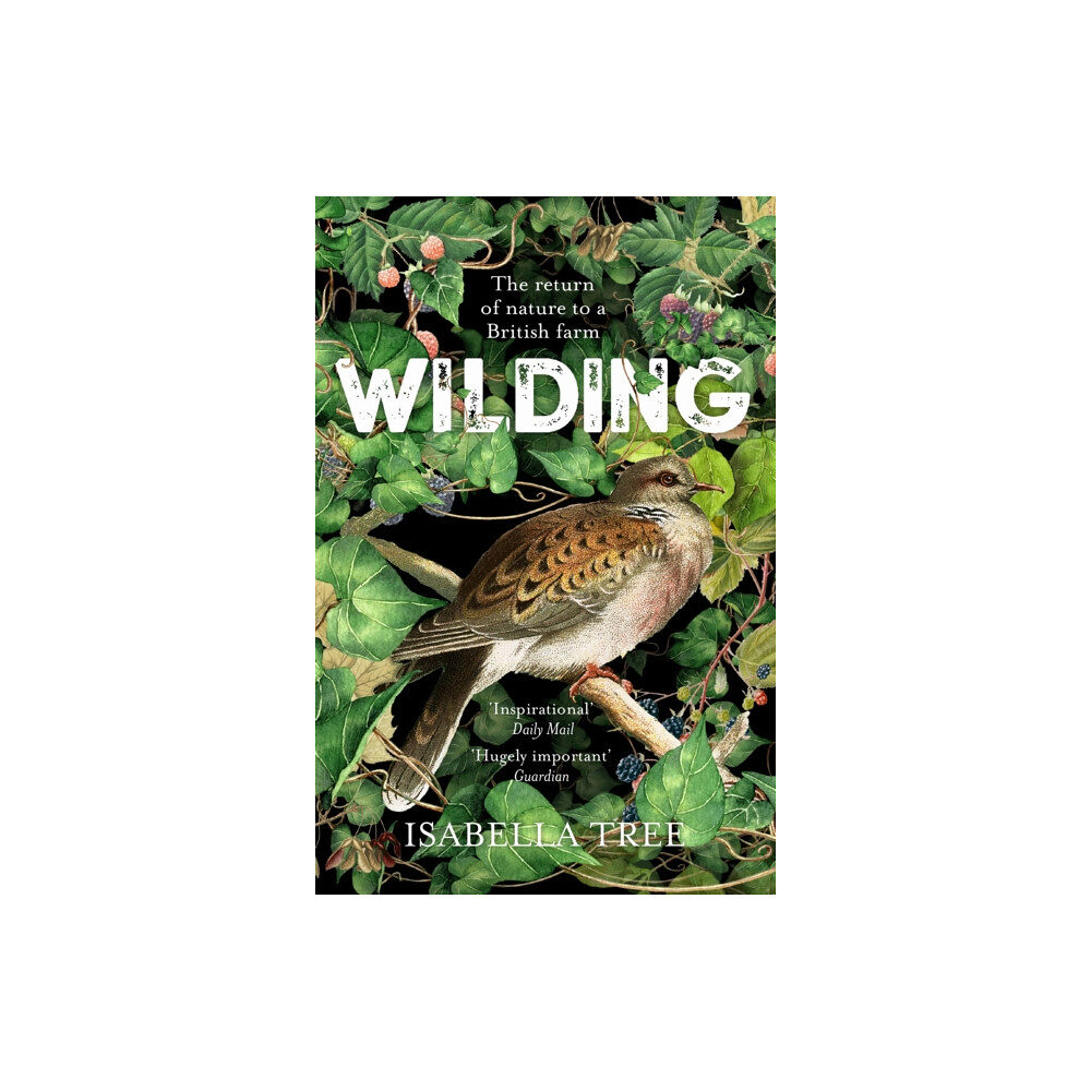 Pan Macmillan Wilding (häftad, eng)