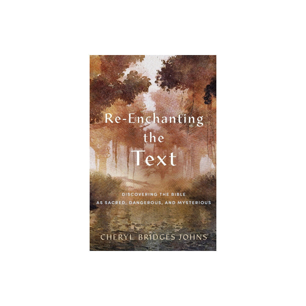 Baker publishing group Re–enchanting the Text – Discovering the Bible as Sacred, Dangerous, and Mysterious (häftad, eng)