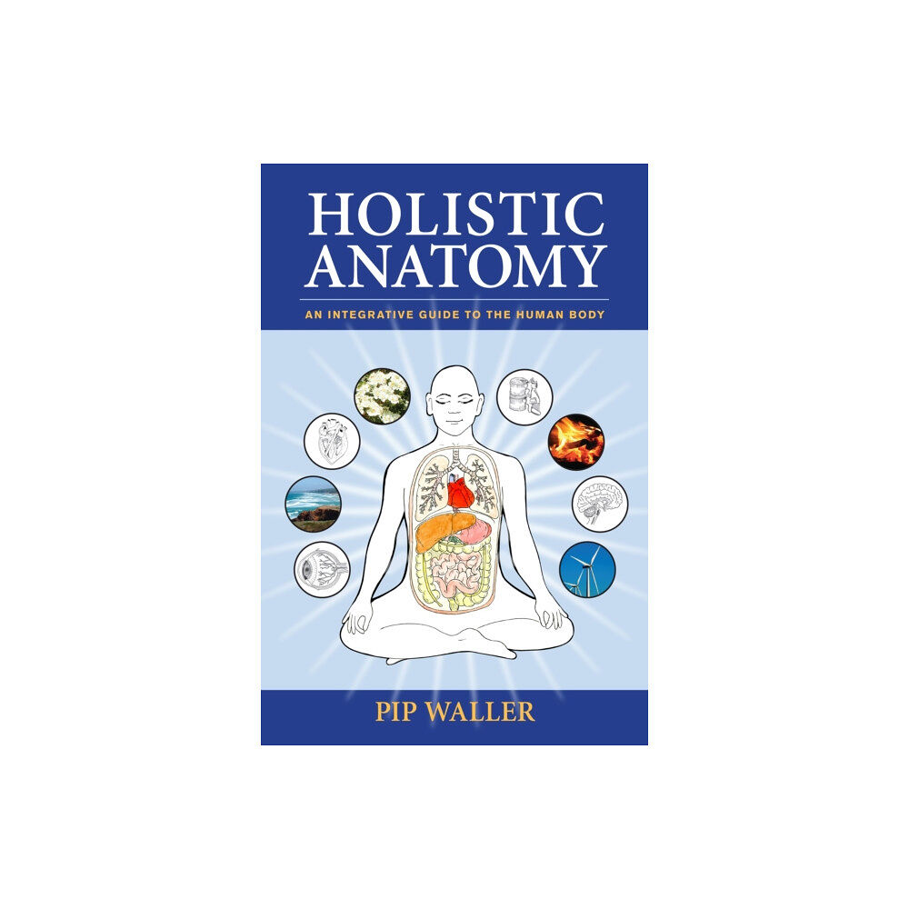 North Atlantic Books,U.S. Holistic Anatomy (häftad, eng)