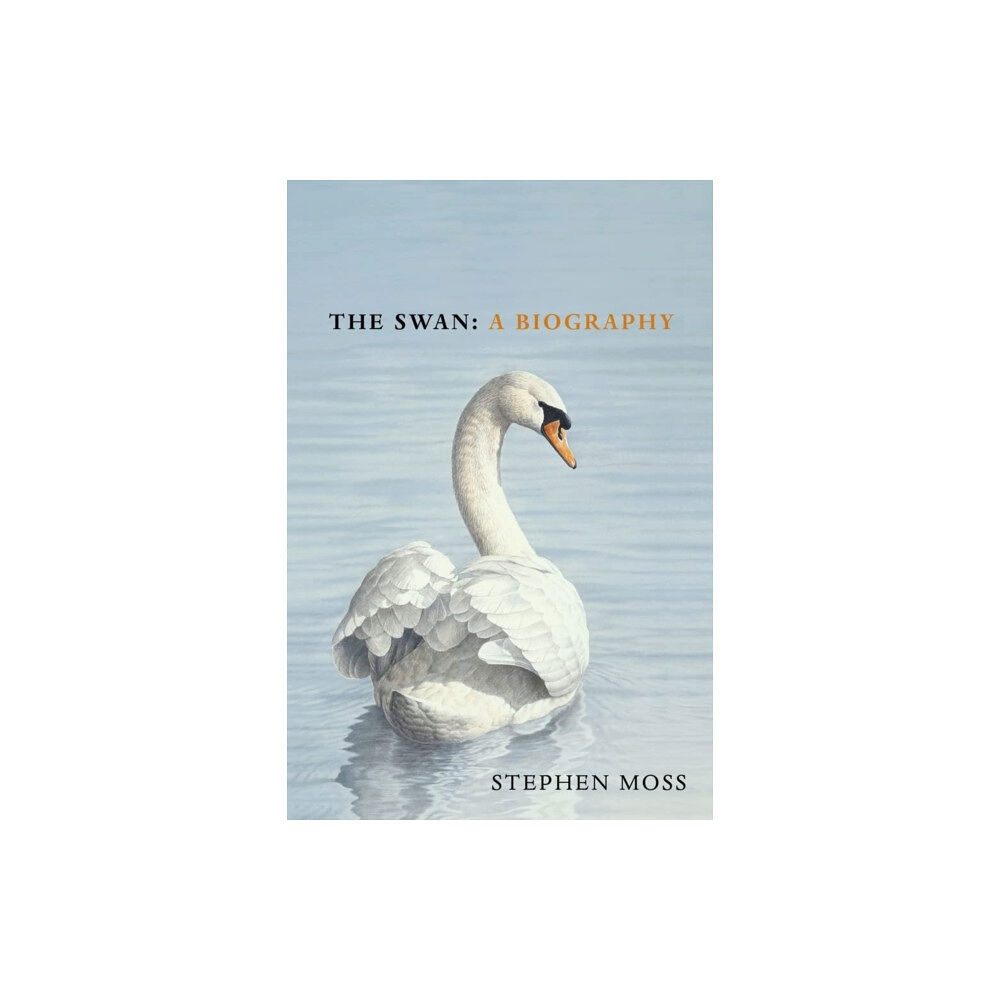Vintage Publishing The Swan (inbunden, eng)