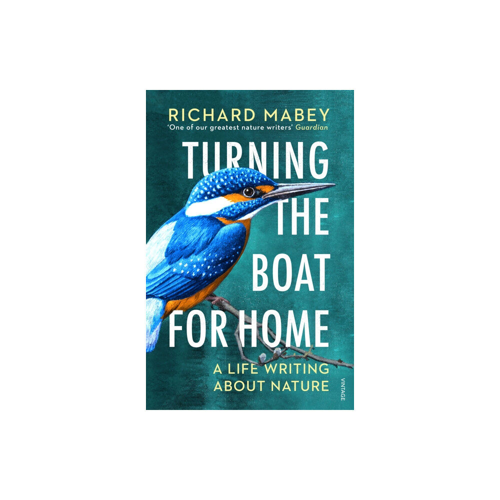 Vintage Publishing Turning the Boat for Home (häftad, eng)