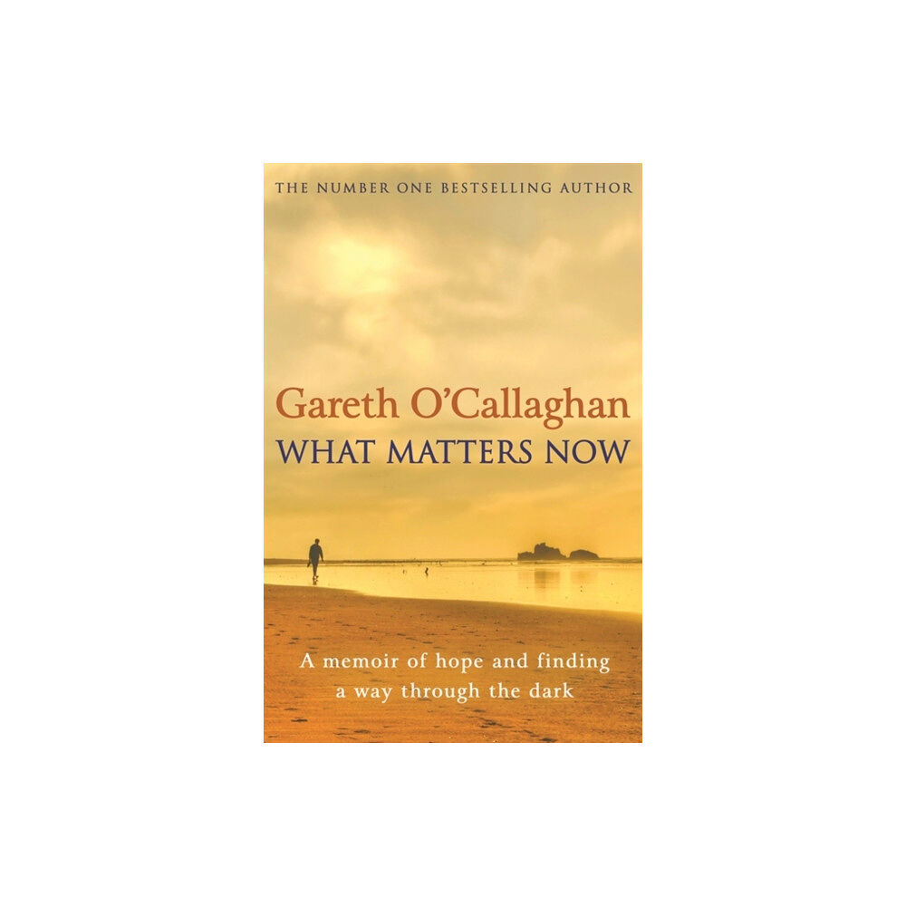 Hachette Books Ireland What Matters Now (häftad, eng)