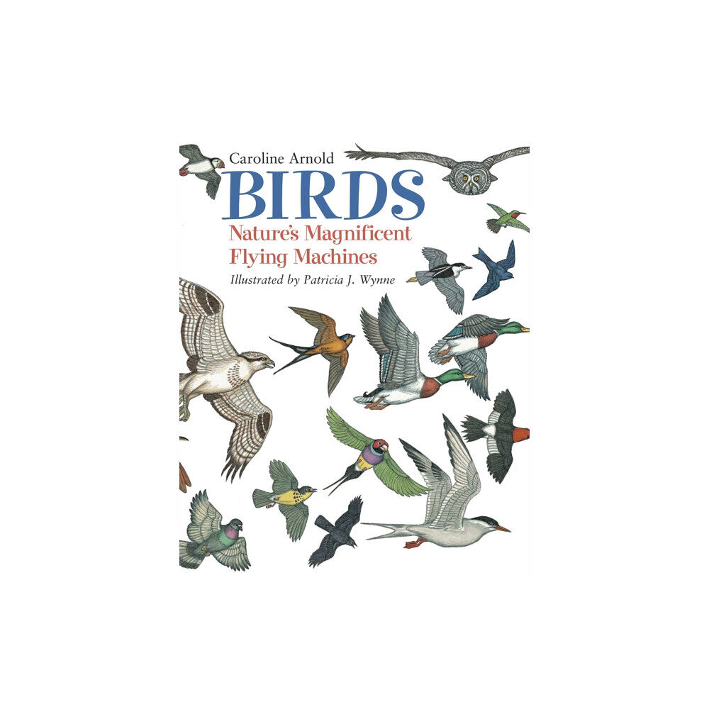 Charlesbridge Publishing,U.S. Birds (häftad, eng)