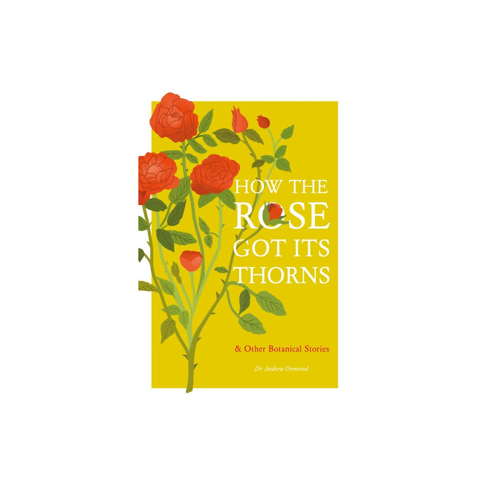 Quercus Publishing How the Rose Got Its Thorns (inbunden, eng)