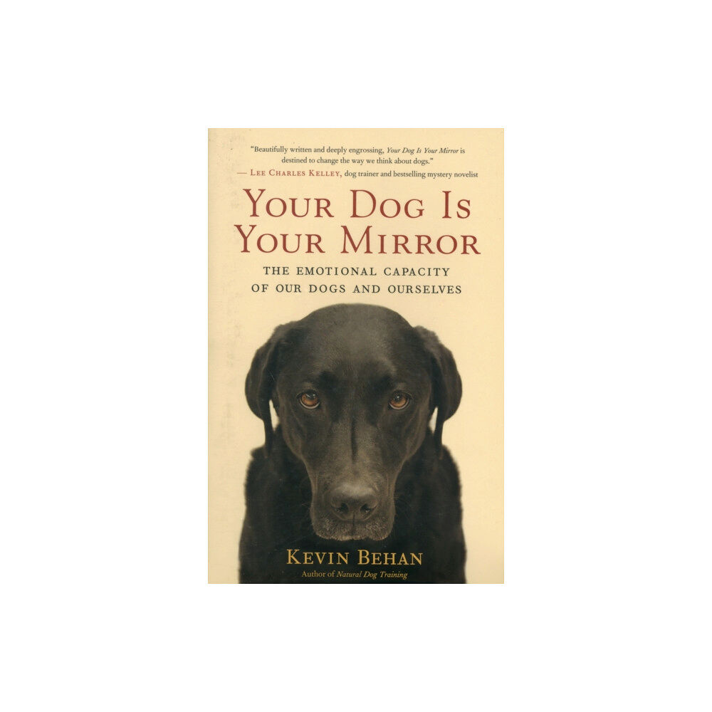 New World Library Your Dog is Your Mirror (häftad, eng)