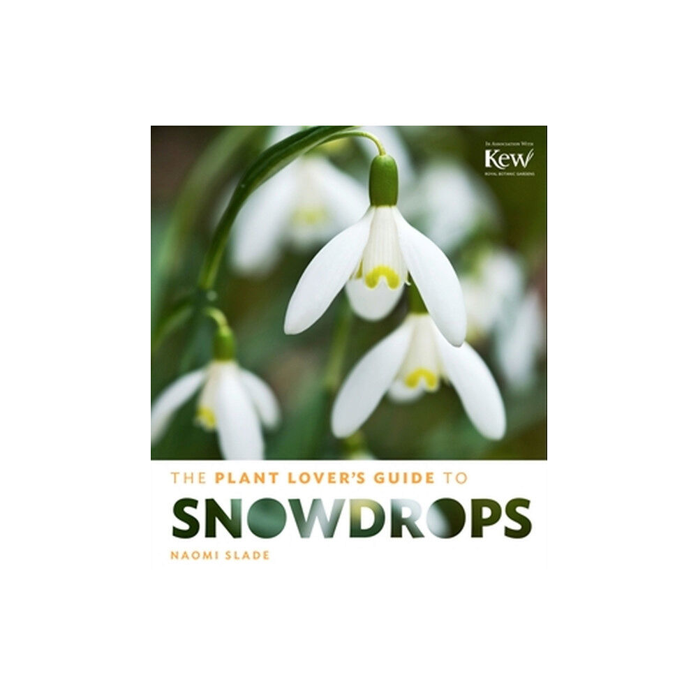 Workman Publishing The Plant Lover's Guide to Snowdrops (inbunden, eng)