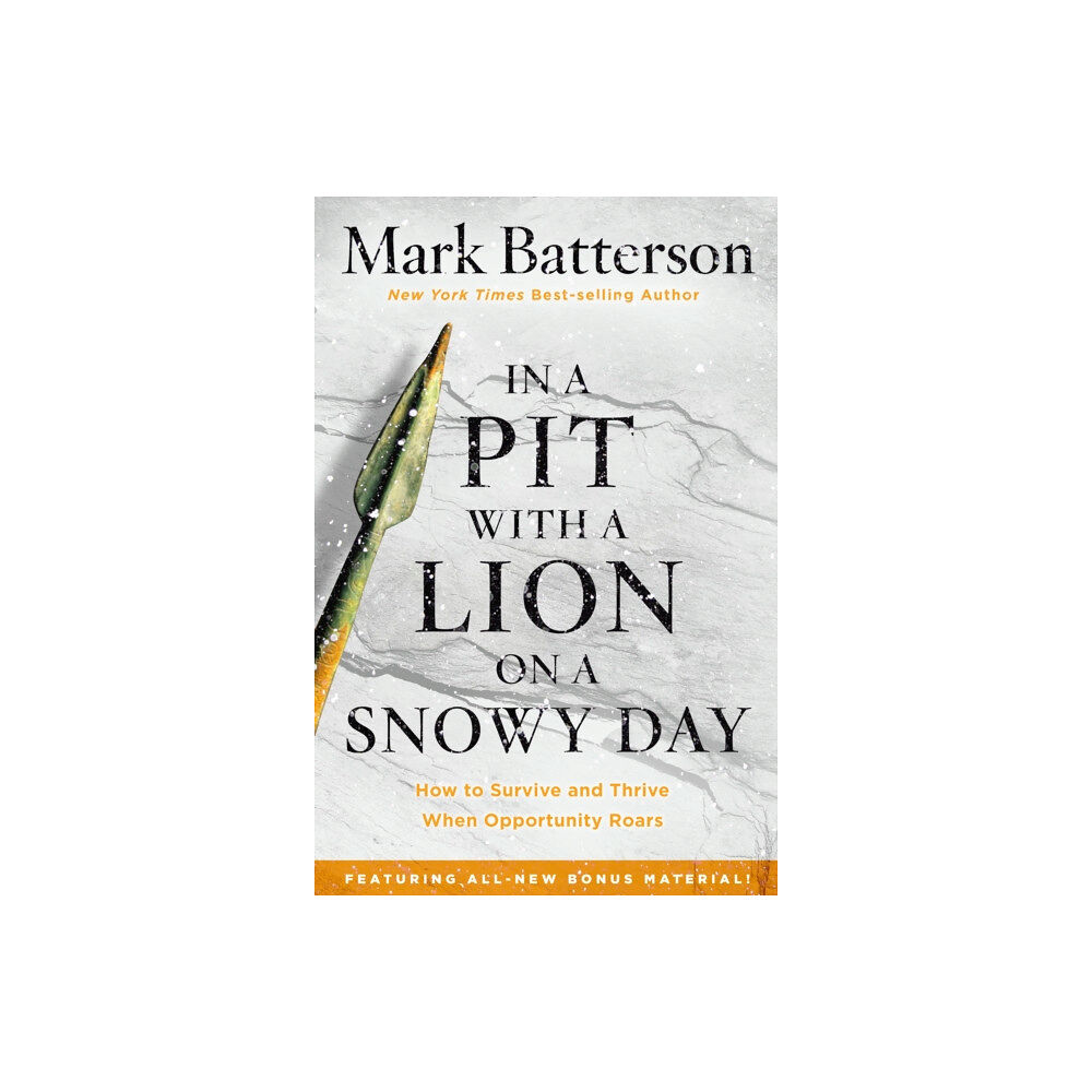 Multnomah Press In a Pit with a Lion on a Snowy Day (häftad, eng)