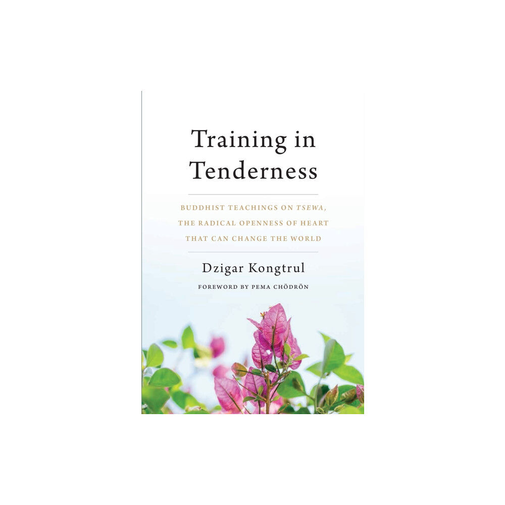 Shambhala Publications Inc Training in Tenderness (häftad, eng)