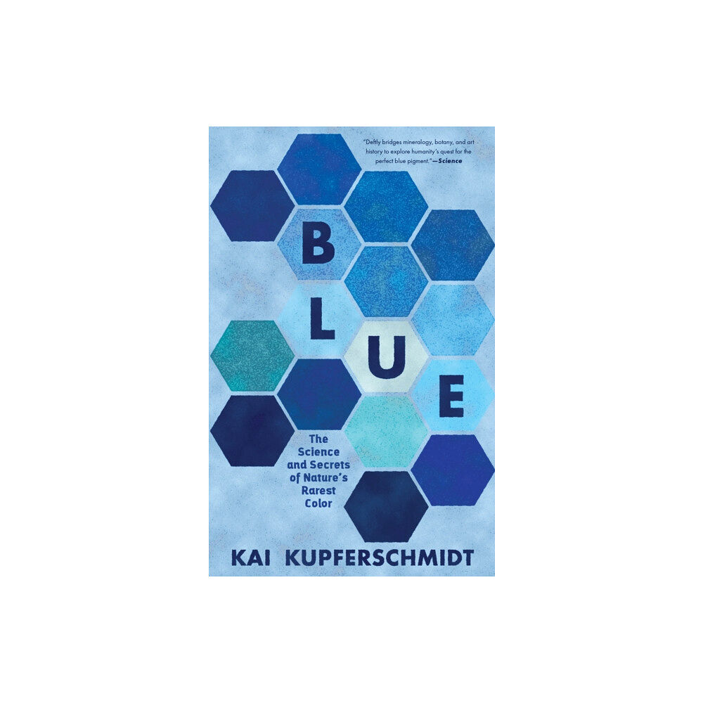 The  Experiment LLC Blue (häftad, eng)