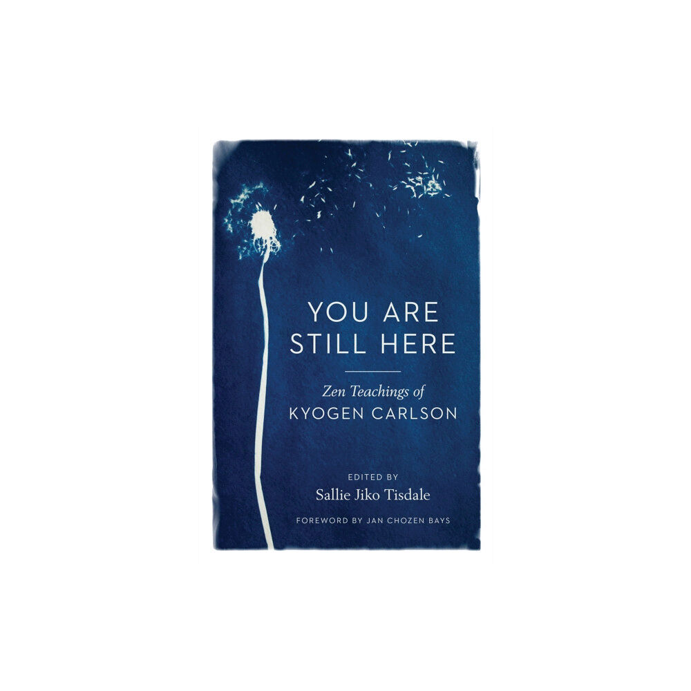 Shambhala Publications Inc You Are Still Here (häftad, eng)