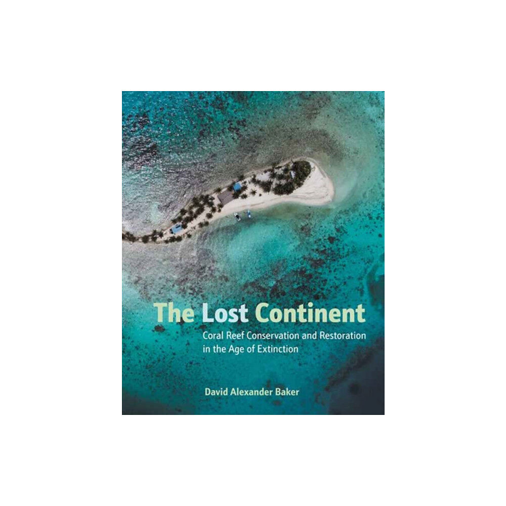 Charlesbridge Publishing,U.S. The Lost Continent (inbunden, eng)