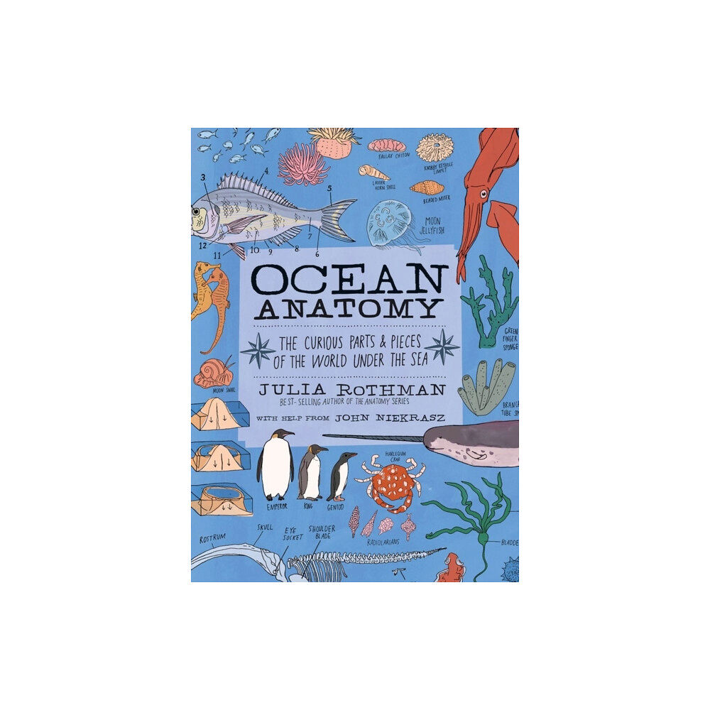 Workman Publishing Ocean Anatomy (häftad, eng)