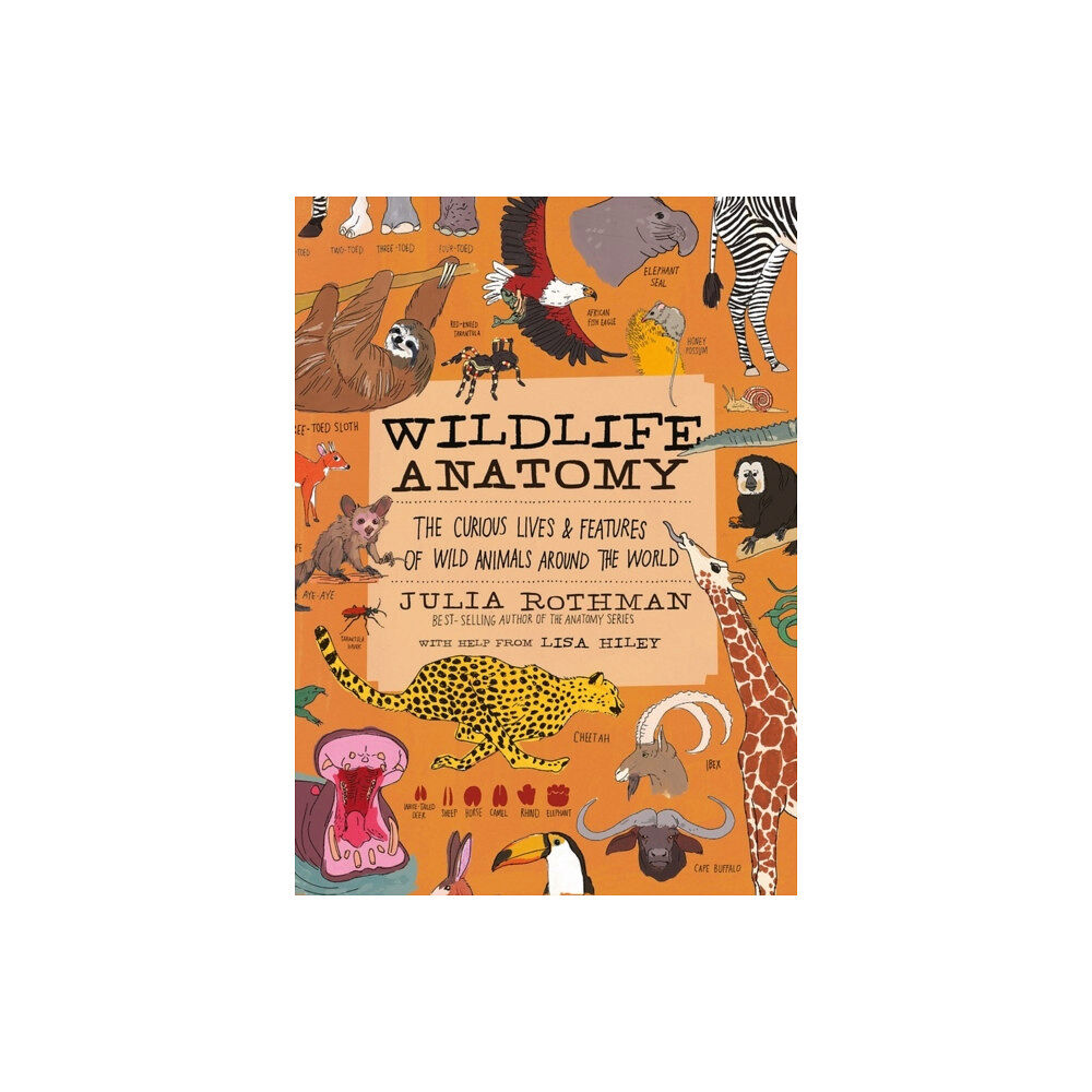 Workman Publishing Wildlife Anatomy (häftad, eng)