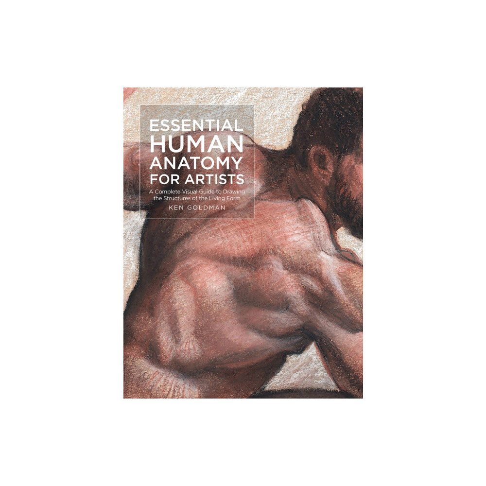 Quarto Publishing Group USA Inc Essential Human Anatomy for Artists (häftad, eng)