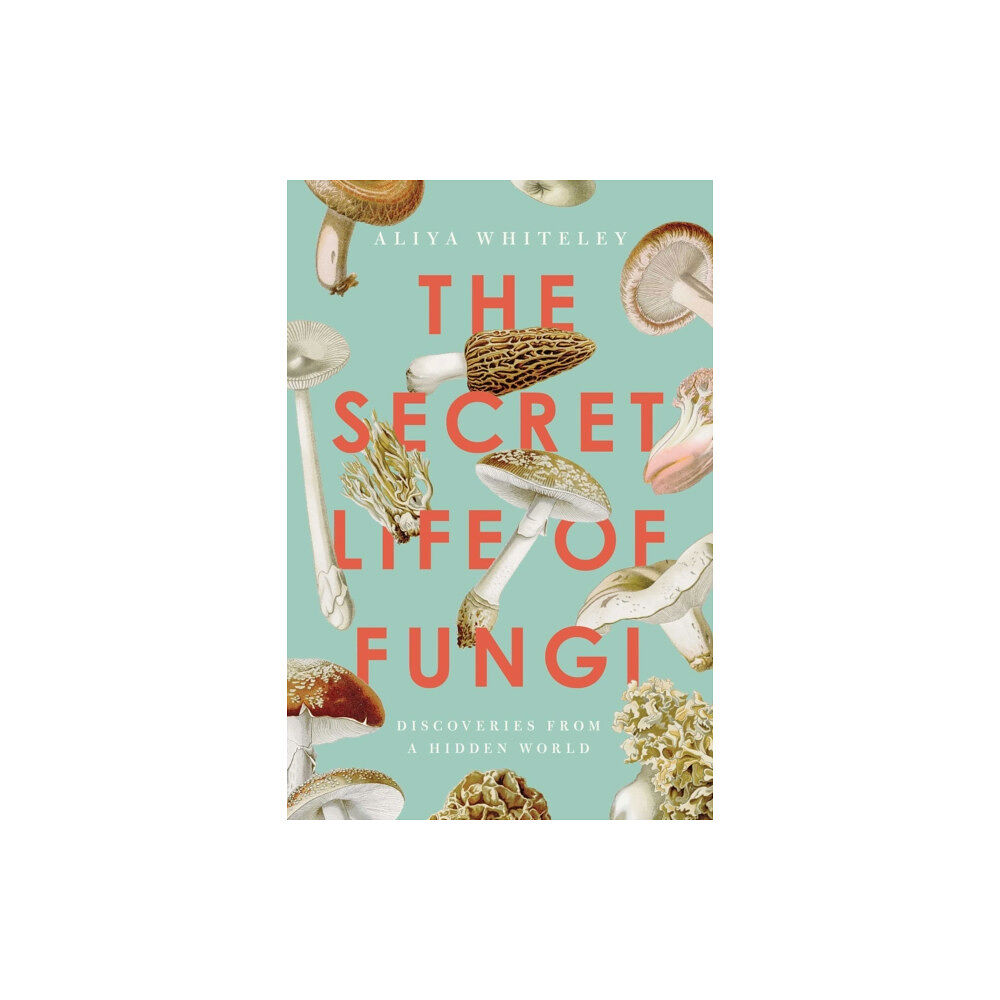 Pegasus Books The Secret Life of Fungi (häftad, eng)