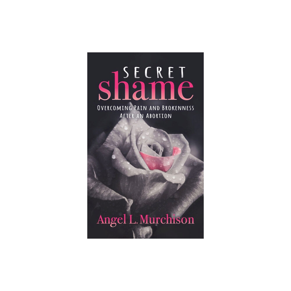 Morgan James Publishing llc Secret Shame (häftad, eng)