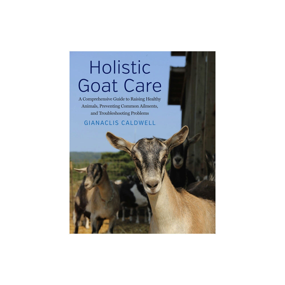 Chelsea Green Publishing Co Holistic Goat Care (häftad, eng)