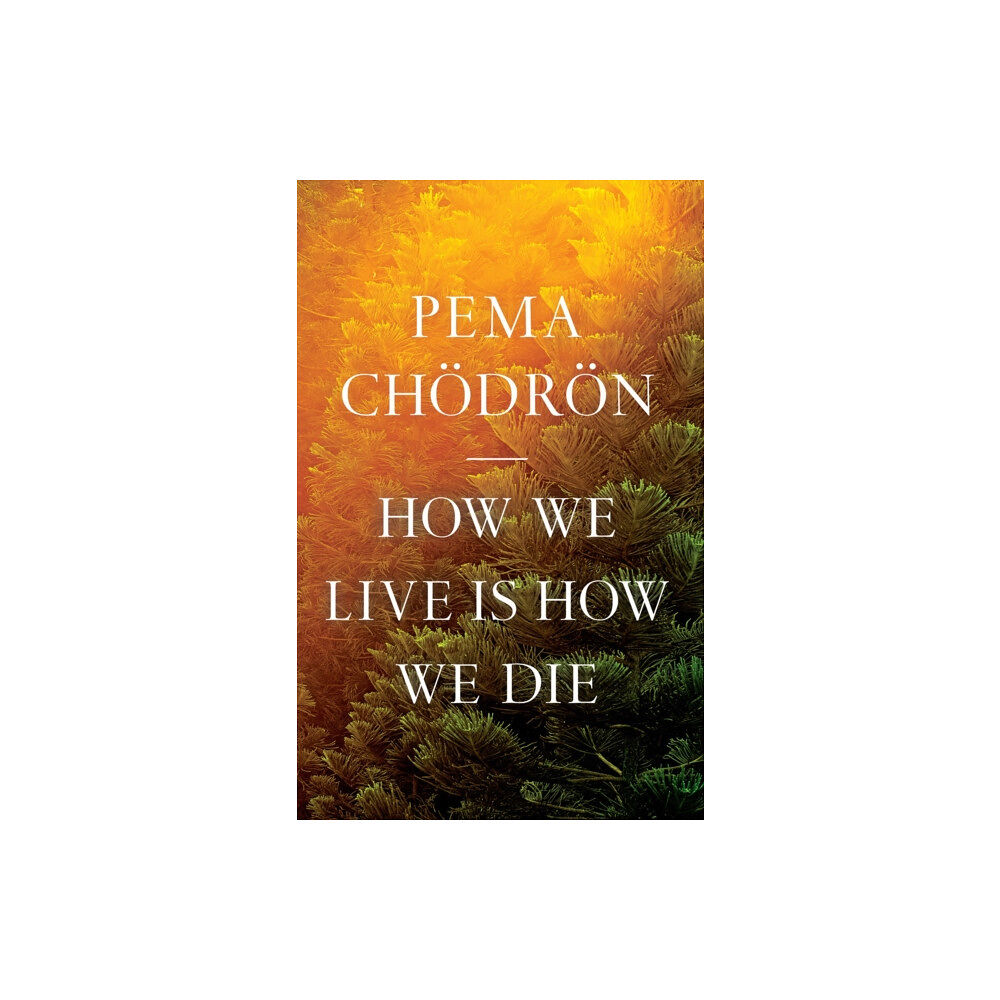 Shambhala Publications Inc How We Live Is How We Die (häftad, eng)