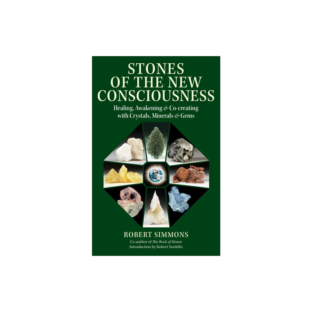 Inner Traditions Bear and Company Stones of the New Consciousness (häftad, eng)