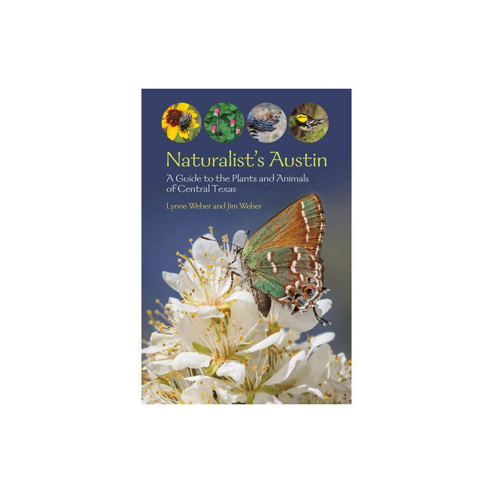 Texas A & M University Press Naturalist's Austin (häftad, eng)