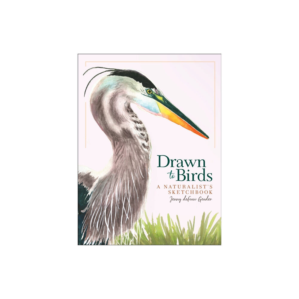 Adventure Publications, Incorporated Drawn to Birds (inbunden, eng)