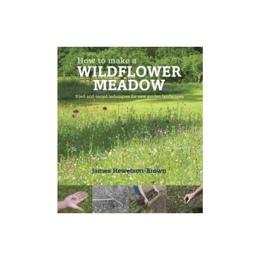 Filbert Press How to make a wildflower meadow (häftad, eng)