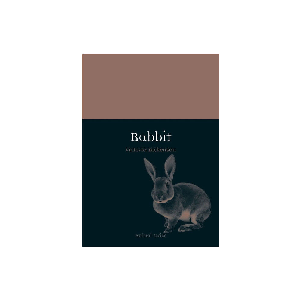 Reaktion Books Rabbit (häftad, eng)