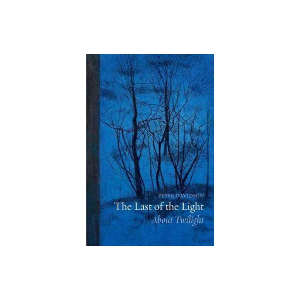 Reaktion Books The Last of the Light (häftad, eng)