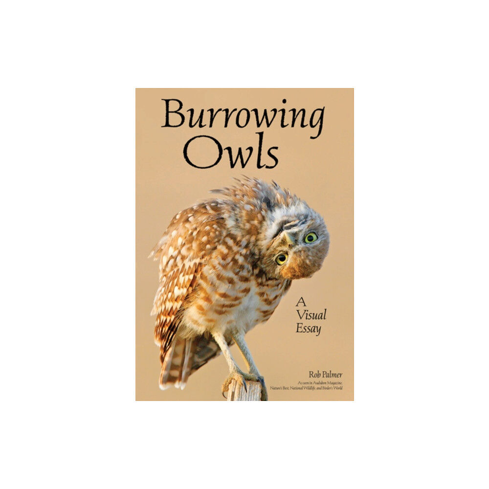 Amherst Media Burrowing Owls (häftad, eng)