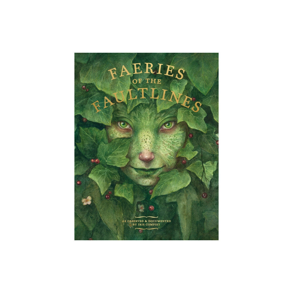 Eye of Newt Books Faeries of the Faultlines (inbunden, eng)