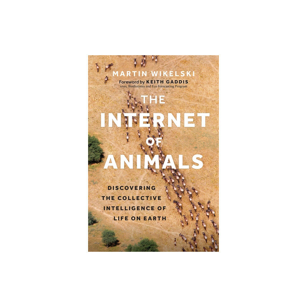 Greystone Books,Canada The Internet of Animals (inbunden, eng)