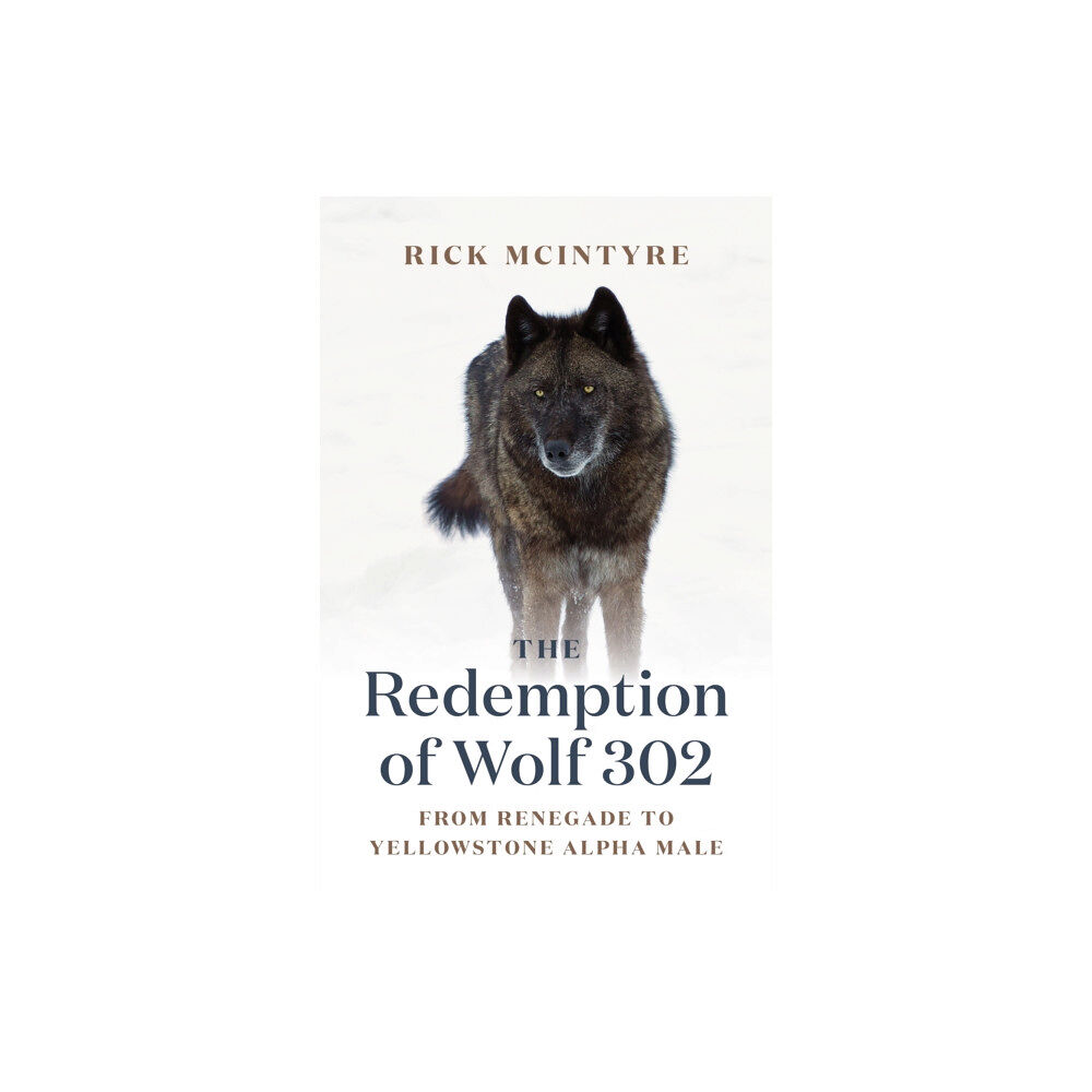 Greystone Books,Canada The Redemption of Wolf 302 (häftad, eng)