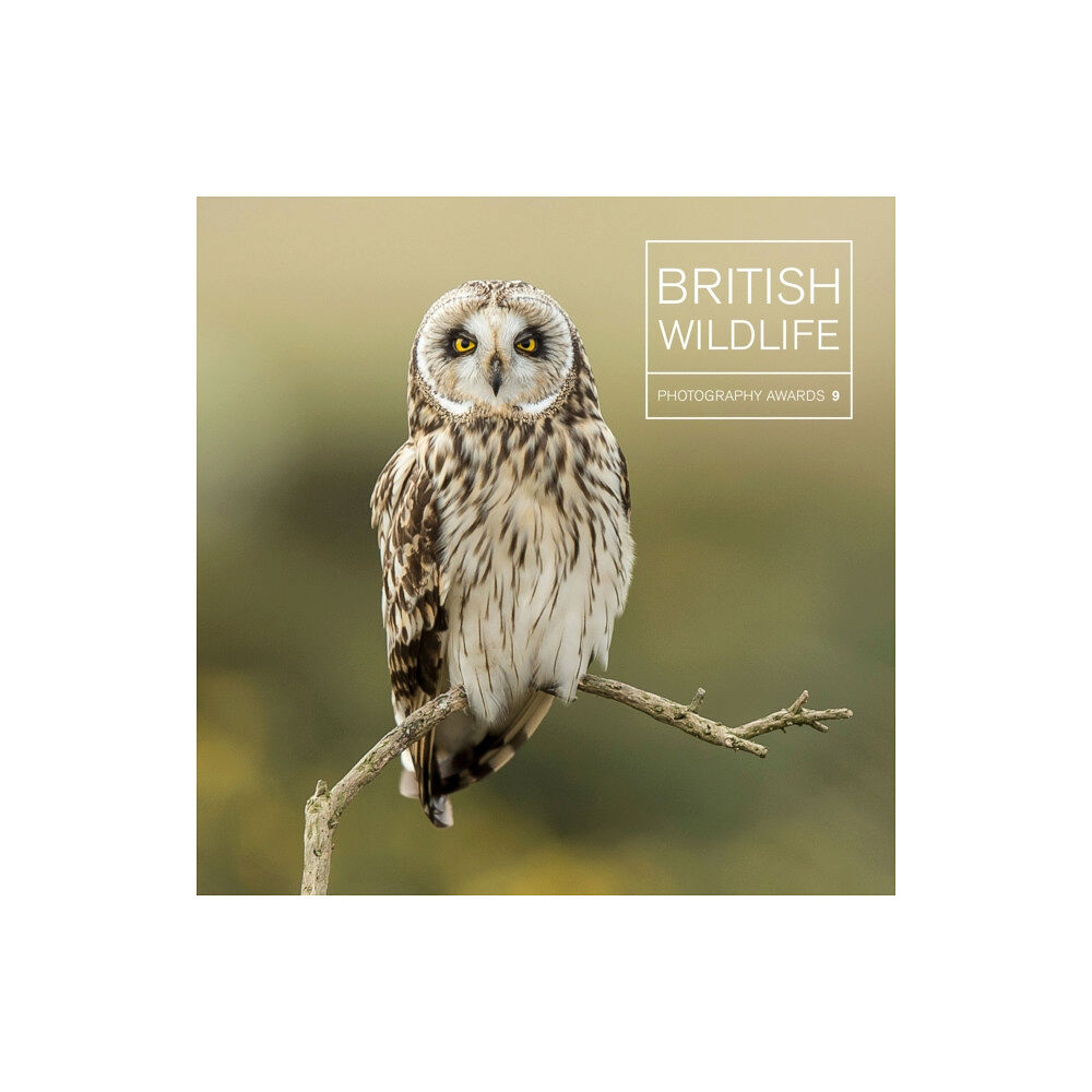 GMC Publications British Wildlife Photography Awards 9 (inbunden, eng)