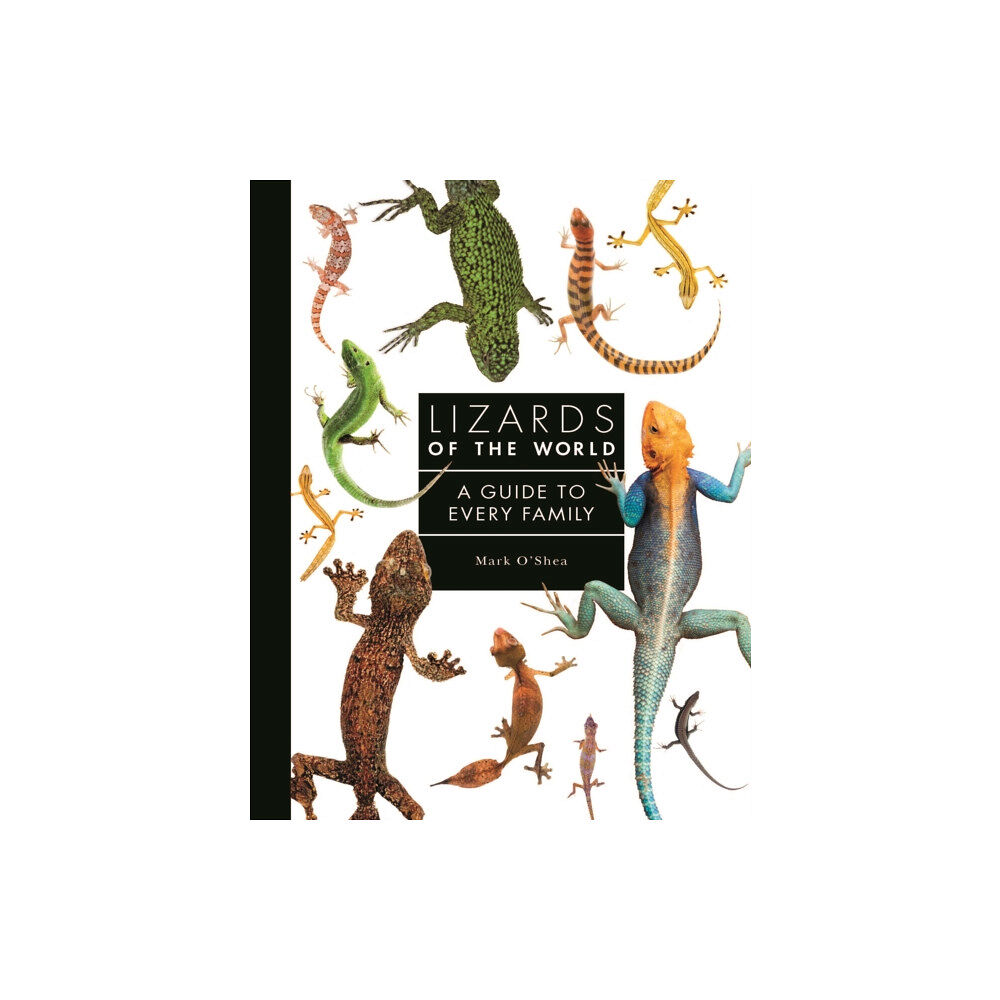 Quarto Publishing Plc Lizards of the World (inbunden, eng)