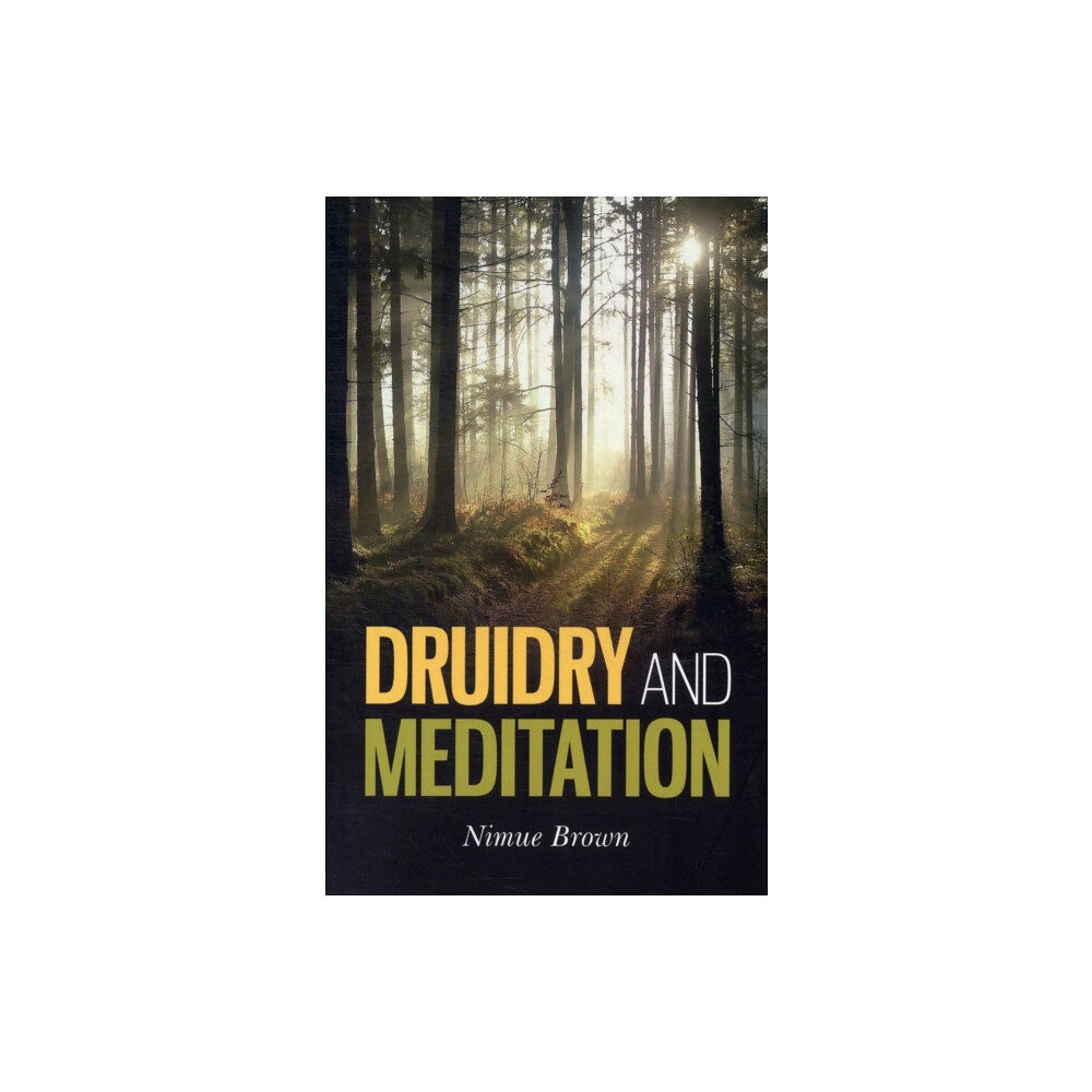 Collective Ink Druidry and Meditation (häftad, eng)