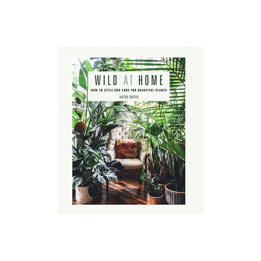 Ryland, Peters & Small Ltd Wild at Home (inbunden, eng)