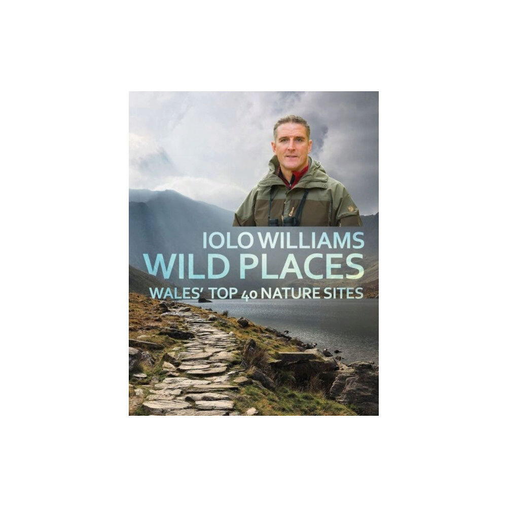 Poetry Wales Press Wild Places (häftad, eng)