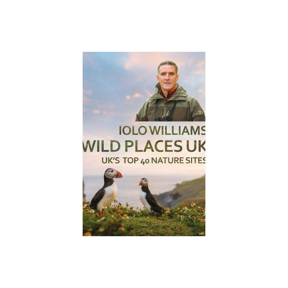 Poetry Wales Press Wild Places: UK (häftad, eng)