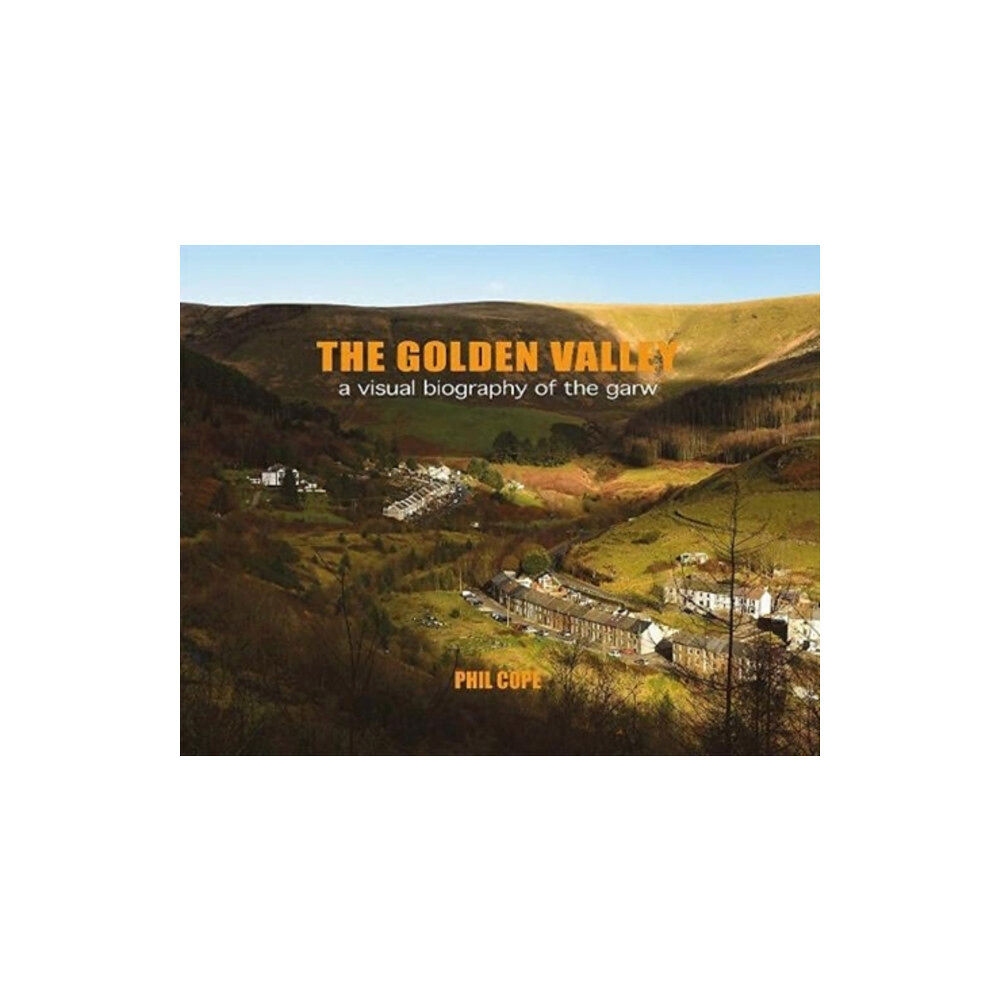 Poetry Wales Press The Golden Valley (häftad, eng)