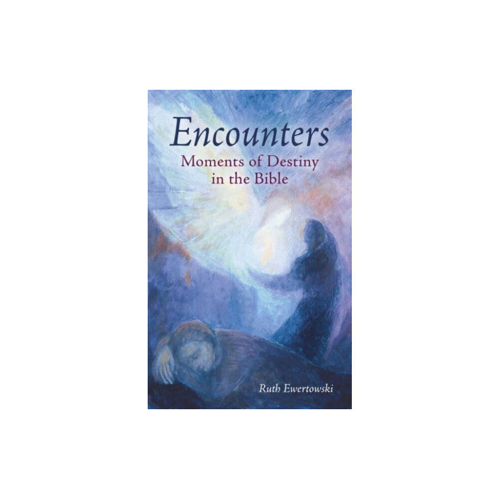 Floris Books Encounters: Moments of Destiny in the Bible (häftad, eng)