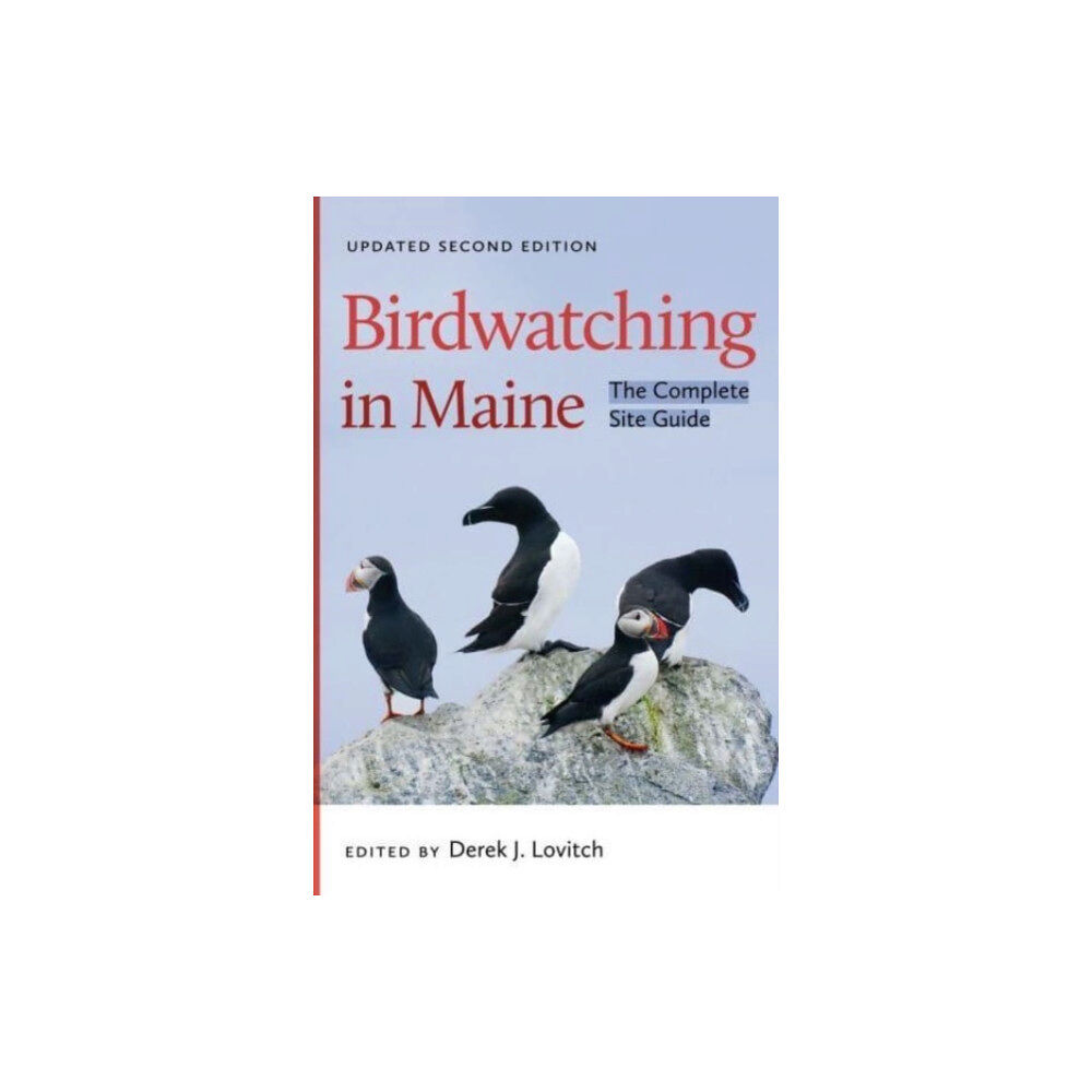 Brandeis University Press Birdwatching in Maine (häftad, eng)