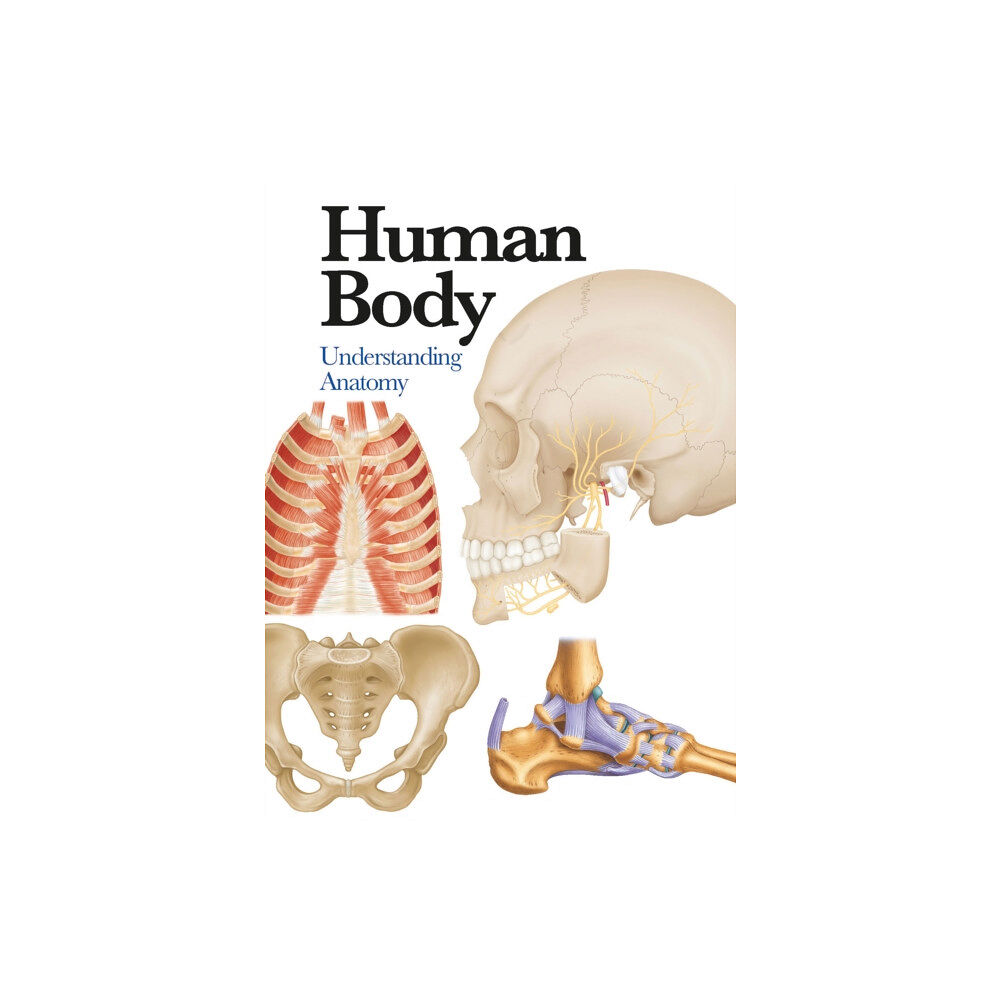 Amber Books Ltd Human Body (häftad, eng)