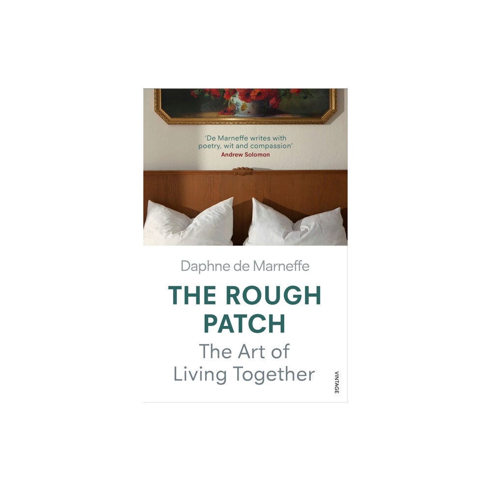 Vintage Publishing The Rough Patch (häftad, eng)